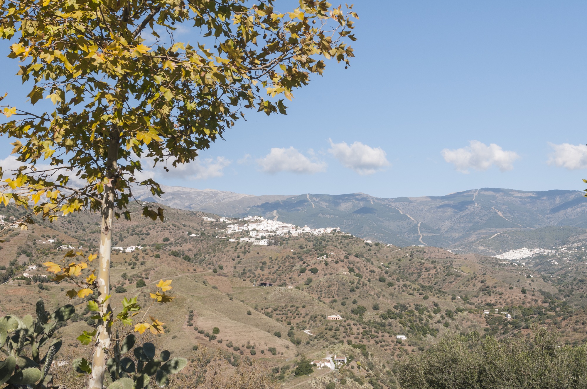 View of villages and fields of La Axarquia, Malaga, Spain