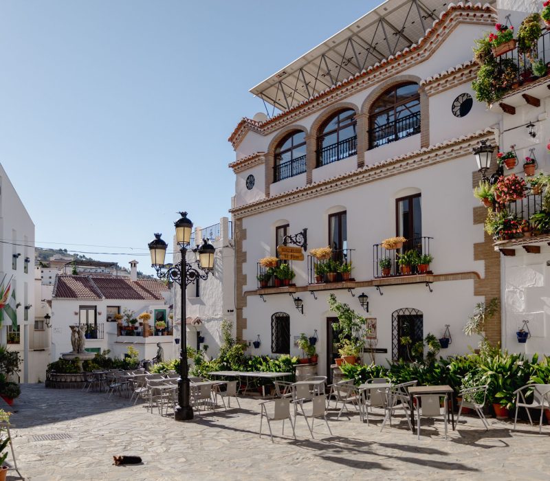 2025_Canillas de Albaida_16